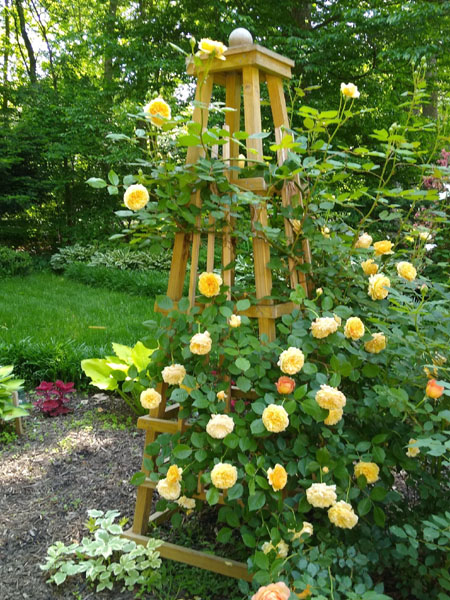 Princess Margareta Rose on Obelisk